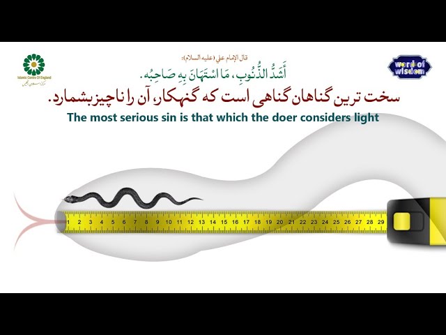 کلام حکمت از امیرمومنان امام علی علیه السلام- 2