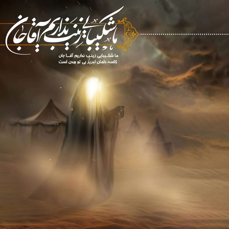زینب کبری، عصاره فضائل اهل بیت علیهم السلام
