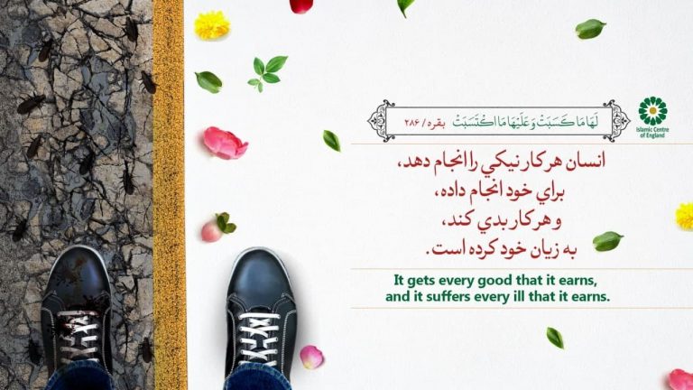 22. Reflection of the Deeds