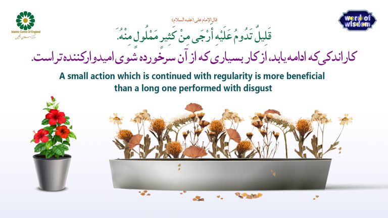 28- The words of Imam Ali (as): A small action which is continued with regularity is more beneficial