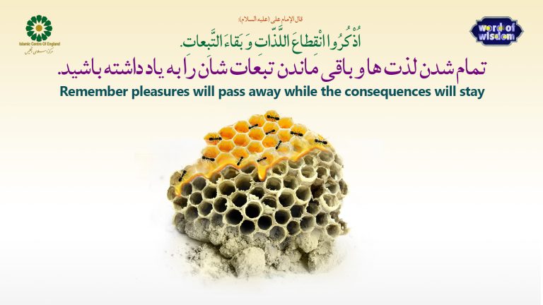 15- The words of Imam Ali(as): Remember pleasures will pass away while the consequences will stay
